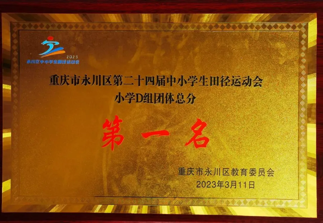 为什么篮球训练中需要多样化的策略_1